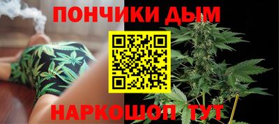 индика Рузаевка