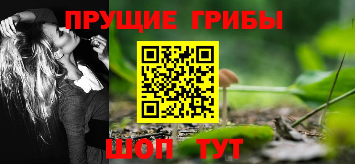 Курск  Галлюциногенные грибы прущие грибы  Вход с VPN 